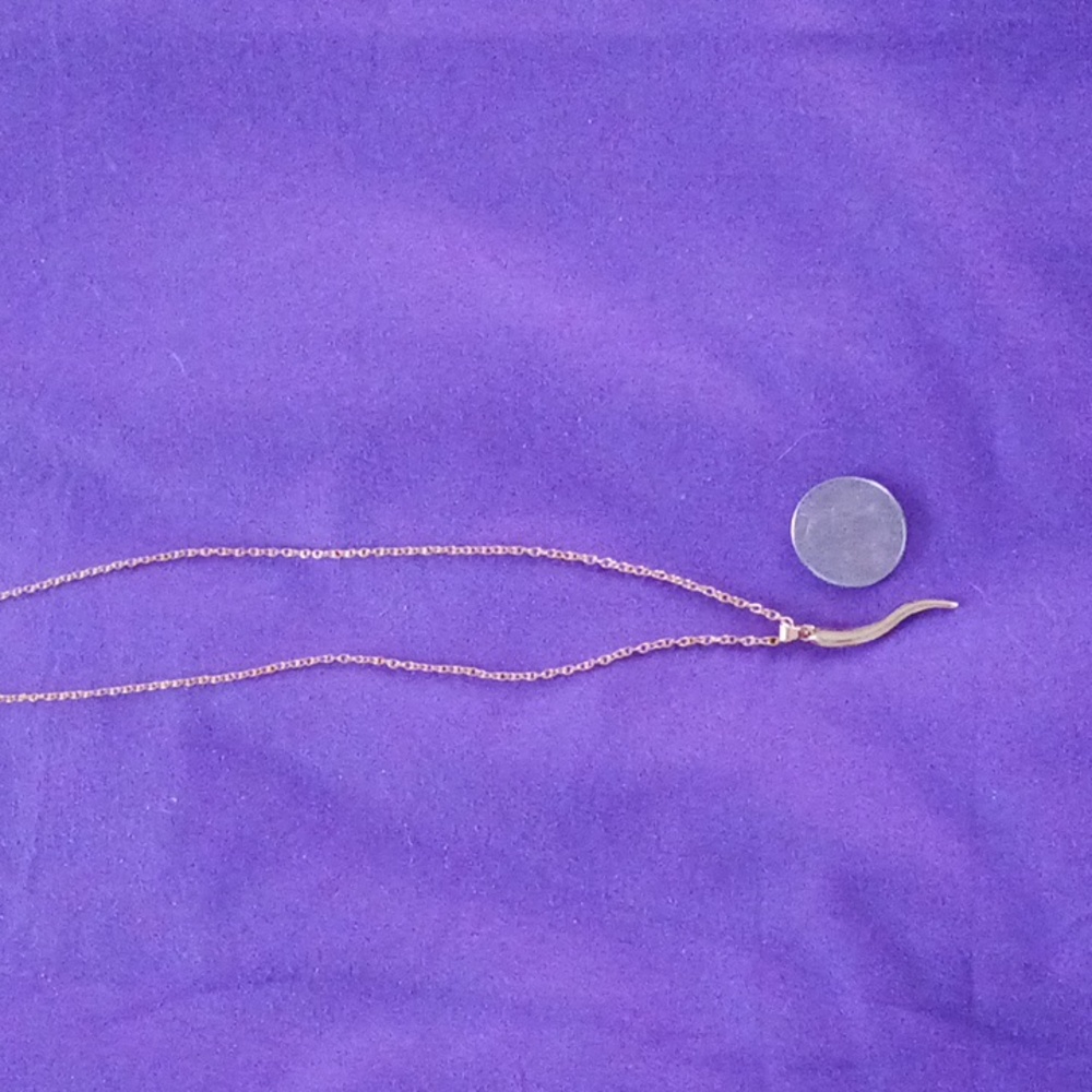 ITALIAN HORN NECKLACE